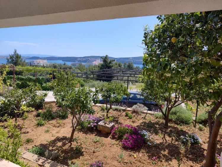 Apartments Tomas Trogir Luaran gambar